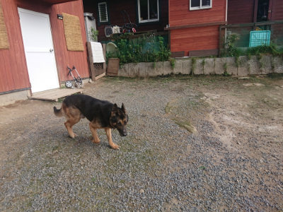 f:id:roukenhome-ann:20190711122257j:plain