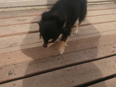 f:id:roukenhome-ann:20190711122338j:plain