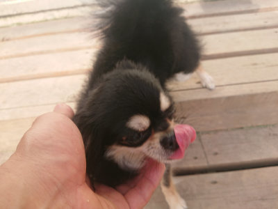 f:id:roukenhome-ann:20190711122341j:plain