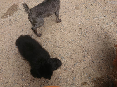 f:id:roukenhome-ann:20190711122346j:plain