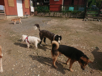 f:id:roukenhome-ann:20190711122351j:plain