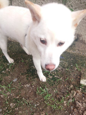 f:id:roukenhome-ann:20190711122428j:plain