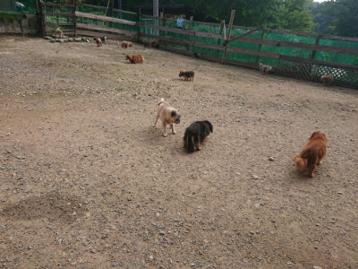 f:id:roukenhome-ann:20190711122433j:plain