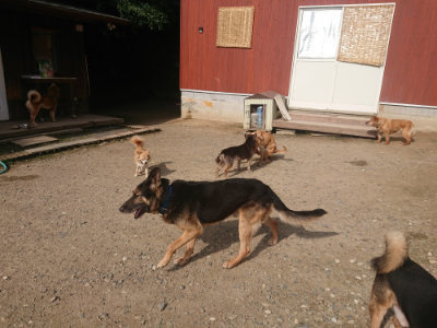 f:id:roukenhome-ann:20190711122445j:plain