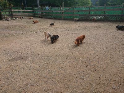 f:id:roukenhome-ann:20190711122457j:plain