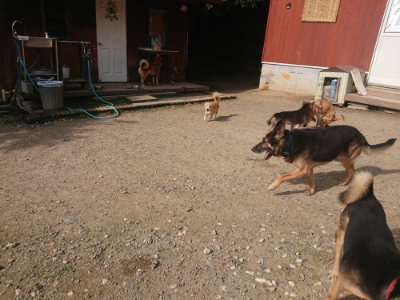 f:id:roukenhome-ann:20190711122507j:plain