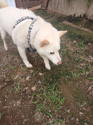f:id:roukenhome-ann:20190711122516j:plain