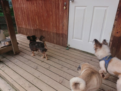 f:id:roukenhome-ann:20190711123805j:plain