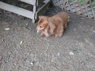 f:id:roukenhome-ann:20190711123824j:plain