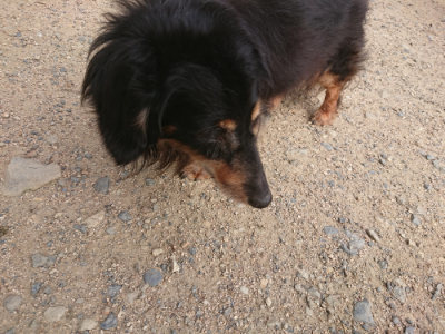 f:id:roukenhome-ann:20190711123831j:plain