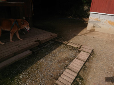 f:id:roukenhome-ann:20190711123835j:plain