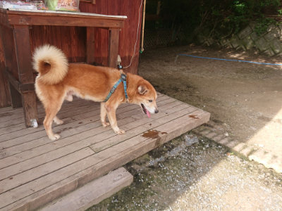 f:id:roukenhome-ann:20190711123841j:plain
