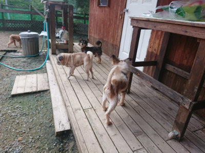 f:id:roukenhome-ann:20190711123922j:plain