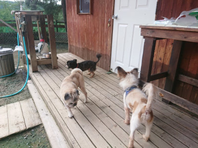 f:id:roukenhome-ann:20190711123926j:plain