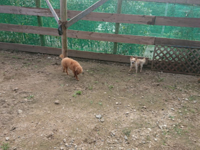 f:id:roukenhome-ann:20190711123931j:plain