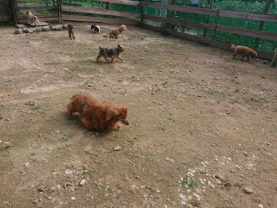 f:id:roukenhome-ann:20190711123951j:plain