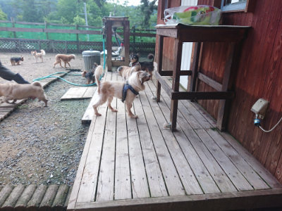 f:id:roukenhome-ann:20190711124015j:plain