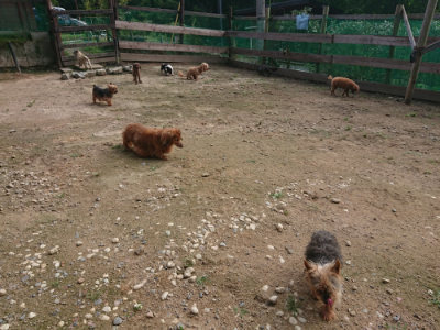 f:id:roukenhome-ann:20190711124021j:plain