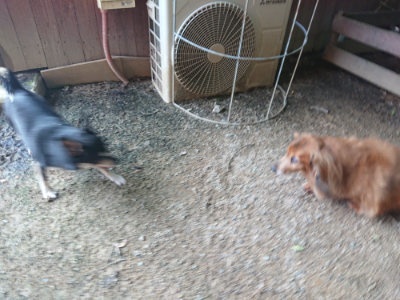 f:id:roukenhome-ann:20190711124036j:plain