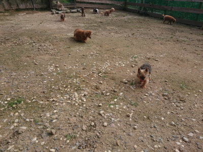f:id:roukenhome-ann:20190711124041j:plain