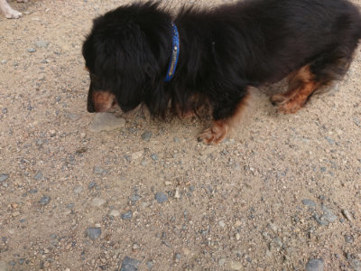 f:id:roukenhome-ann:20190711124113j:plain