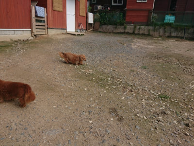 f:id:roukenhome-ann:20190711124118j:plain