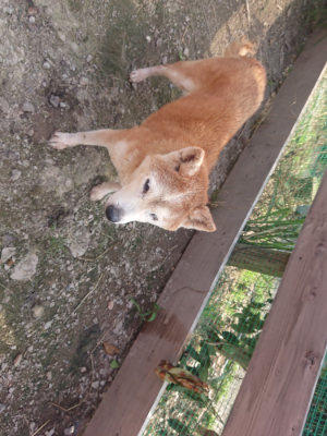 f:id:roukenhome-ann:20190711124148j:plain