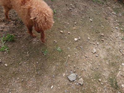 f:id:roukenhome-ann:20190711124202j:plain