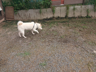 f:id:roukenhome-ann:20190711124252j:plain