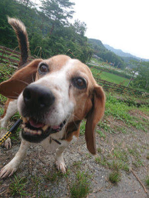 f:id:roukenhome-ann:20190711124346j:plain