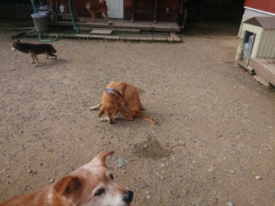 f:id:roukenhome-ann:20190711124357j:plain