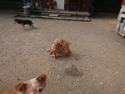 f:id:roukenhome-ann:20190711124401j:plain