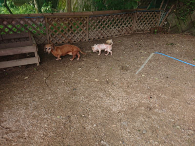 f:id:roukenhome-ann:20190711124443j:plain