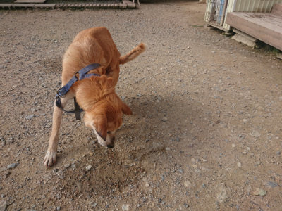 f:id:roukenhome-ann:20190711124451j:plain