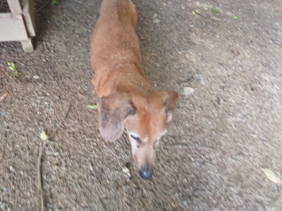 f:id:roukenhome-ann:20190711124534j:plain