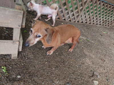 f:id:roukenhome-ann:20190711124555j:plain