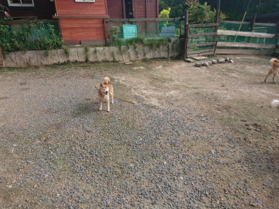 f:id:roukenhome-ann:20190711124605j:plain