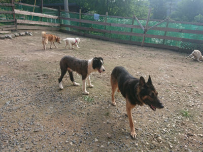 f:id:roukenhome-ann:20190711124634j:plain
