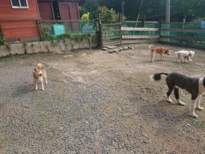 f:id:roukenhome-ann:20190711124639j:plain