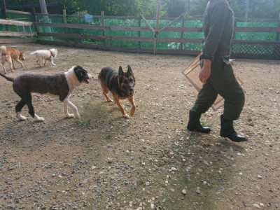 f:id:roukenhome-ann:20190711124657j:plain
