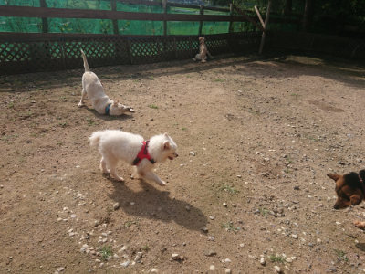 f:id:roukenhome-ann:20190711124702j:plain