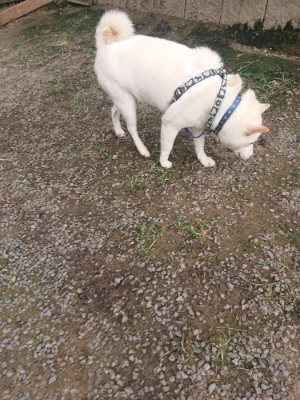 f:id:roukenhome-ann:20190711124707j:plain