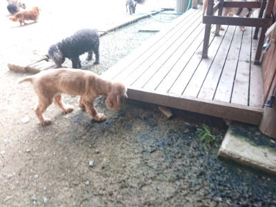 f:id:roukenhome-ann:20190711124712j:plain