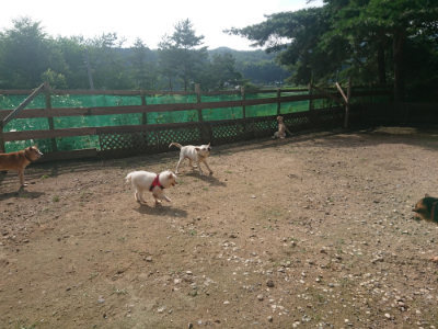 f:id:roukenhome-ann:20190711124722j:plain
