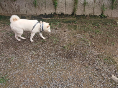 f:id:roukenhome-ann:20190711124726j:plain
