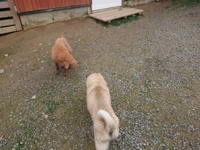 f:id:roukenhome-ann:20190713133023j:plain f:id:roukenhome-ann:20190713133023j:plain