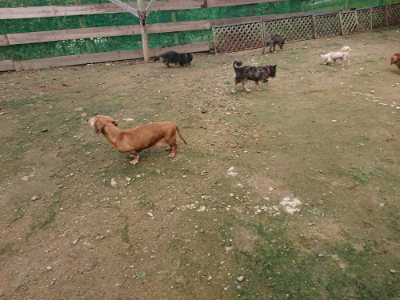 f:id:roukenhome-ann:20190713133045j:plain f:id:roukenhome-ann:20190713133045j:plain