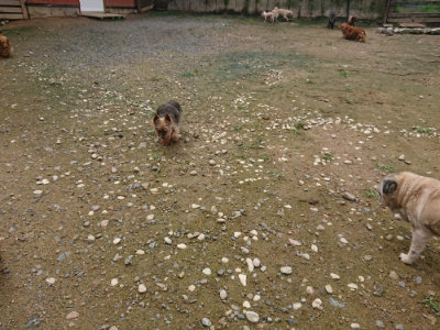 f:id:roukenhome-ann:20190713133722j:plain f:id:roukenhome-ann:20190713133722j:plain