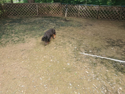 f:id:roukenhome-ann:20190713133729j:plain f:id:roukenhome-ann:20190713133729j:plain