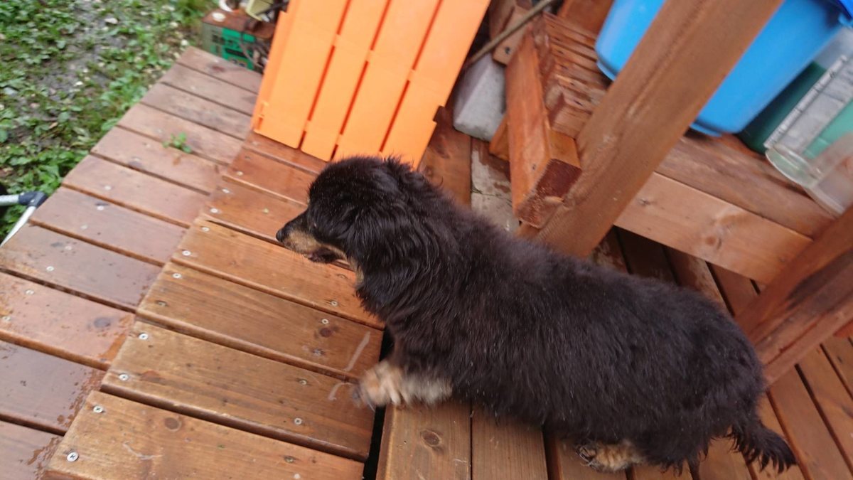 f:id:roukenhome-ann:20190715183232j:plain